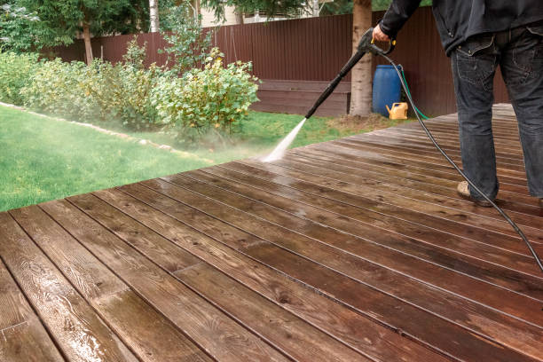 Best Roof Washing  in Zephyrhills West, FL