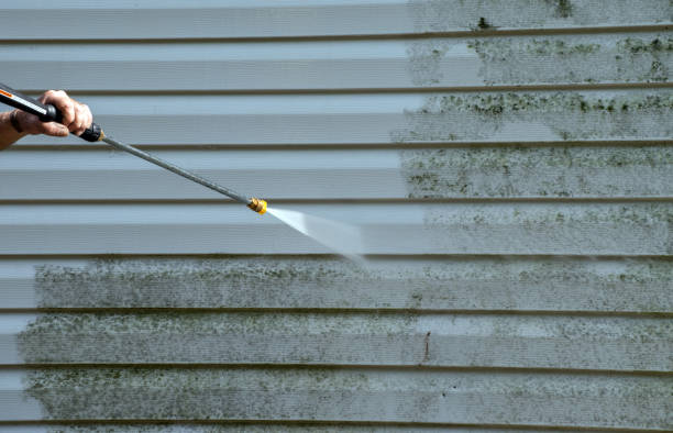 Best House Exterior Washing  in Zephyrhills West, FL