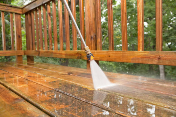 Best Solar Panel Cleaning  in Zephyrhills West, FL